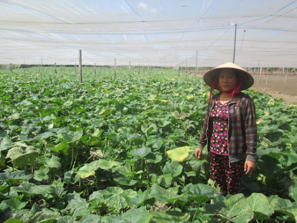 NÔNG DÂN HUYỆN PHÚ RIỀNG VỚI PHONG TRÀO “NÔNG DÂN SẢN XUẤT KINH DOANH GIỎI, ĐOÀN KẾT GIÚP NHAU LÀM GIÀU VÀ GIẢM NGHÈO BỀN VỮNG”
