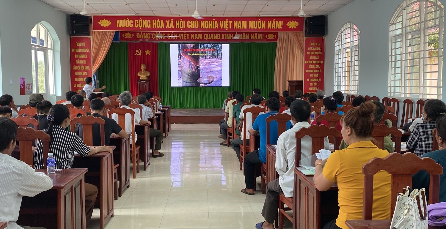 80 nông dân của xã Long Tân, huyện Phú Riềng được tập huấn sản xuất cao su tiểu điền bền vững